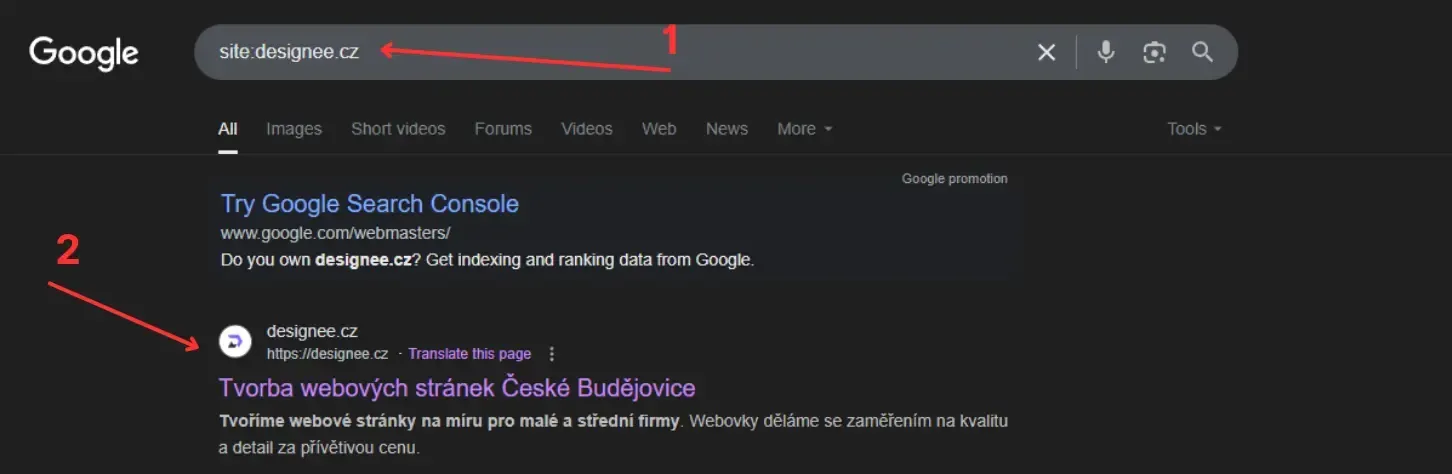 Jak co nejrychleji dostat váš web na Google